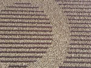 みのりup.jpgのサムネール画像のサムネール画像